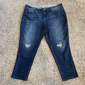 Vintage America Bestie Jean Distressed Womens 22/36